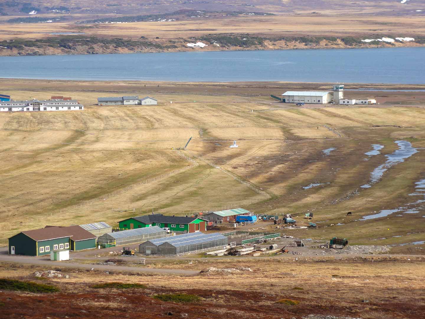Paysage de lande à Miquelon